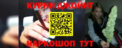 сатива Бердск