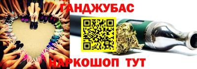 сатива Бердск
