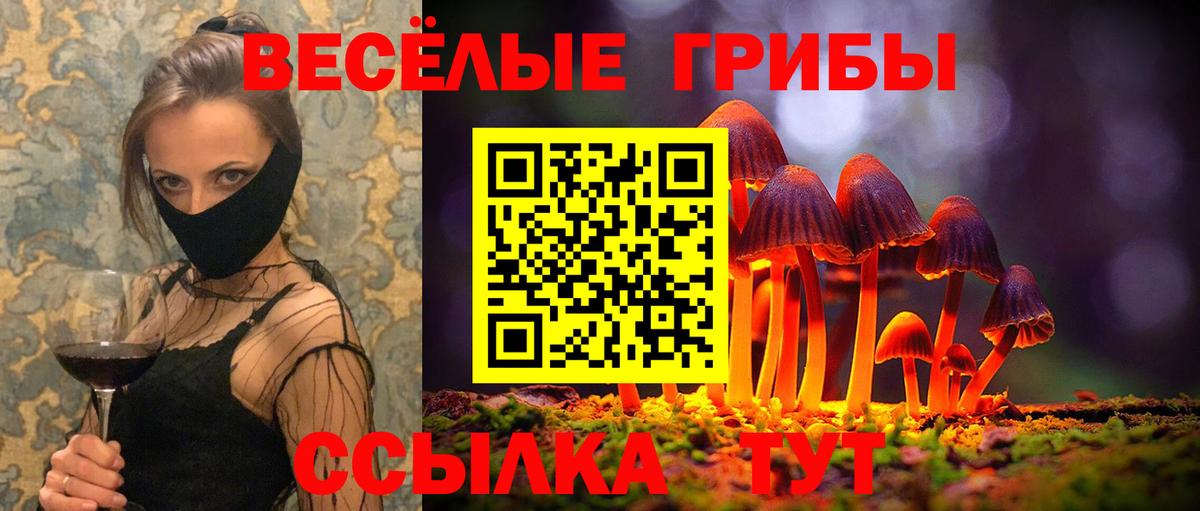 где продают   Вход с VPN  Железноводск  Галлюциногенные грибы ЛСД 